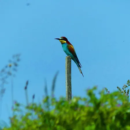 House Podhamer Marijan * Лютомер