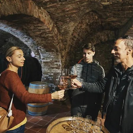 House Podhamer Marijan Дом отдыха Лютомер