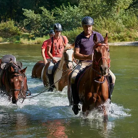 House Podhamer Marijan