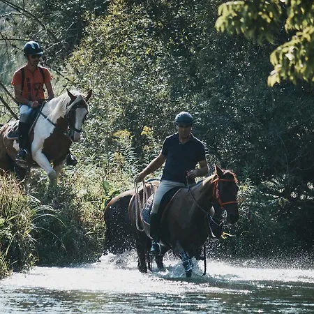 House Podhamer Marijan * Ljutomer
