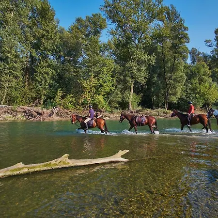 House Podhamer Marijan * Ljutomer