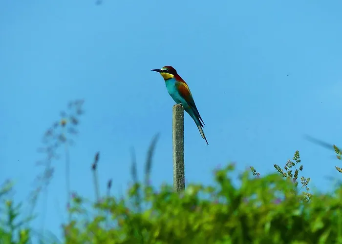 House Podhamer Marijan * Ljutomer