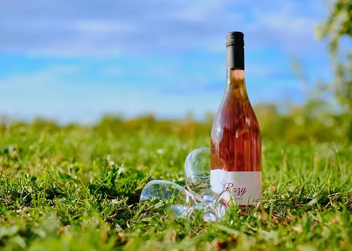 House Podhamer Marijan *