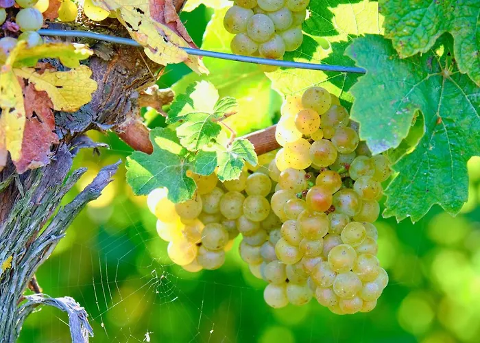 House Podhamer Marijan Σπίτι διακοπών *