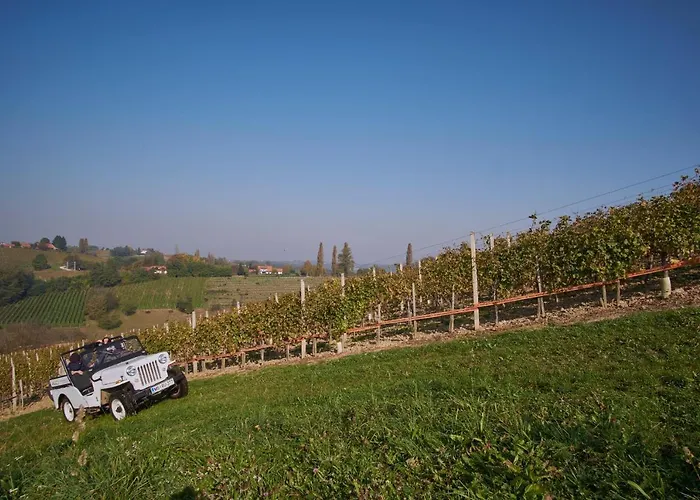 Vakantiehuis House Podhamer Marijan Ljutomer