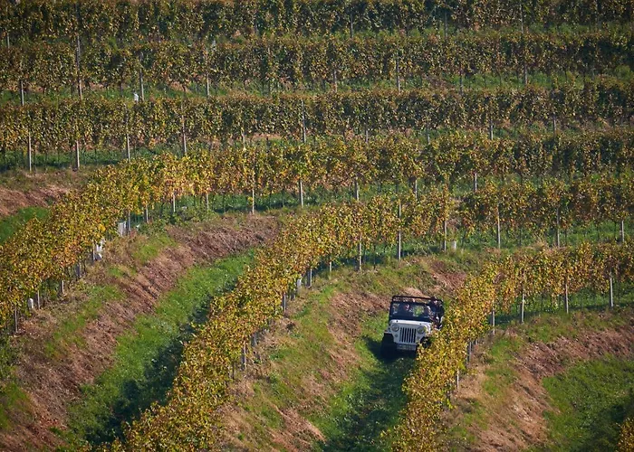 Σπίτι διακοπών House Podhamer Marijan *