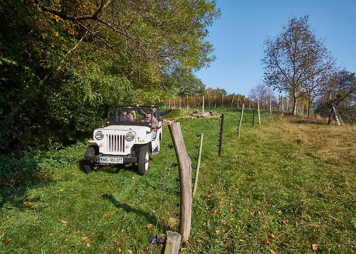 House Podhamer Marijan * Ljutomer