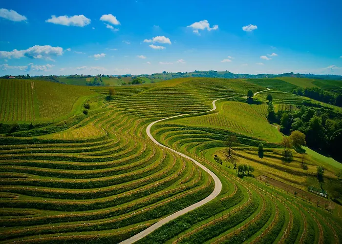 Σπίτι διακοπών House Podhamer Marijan *