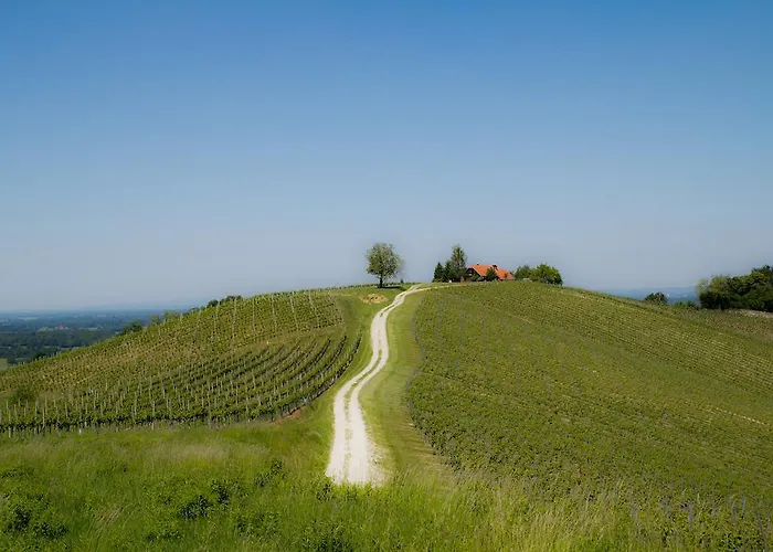 House Podhamer Marijan * Ljutomer