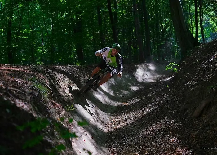 House Podhamer Marijan * Ljutomer