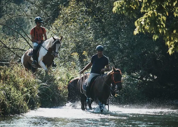 House Podhamer Marijan * Ljutomer