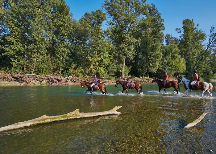 House Podhamer Marijan * Ljutomer